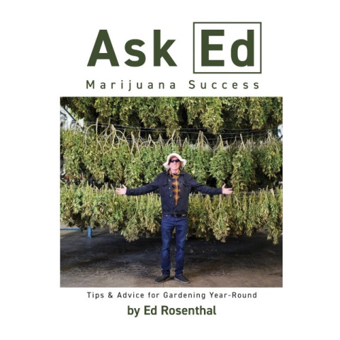 Ask Ed Marijuana Success Ed Rosenthal